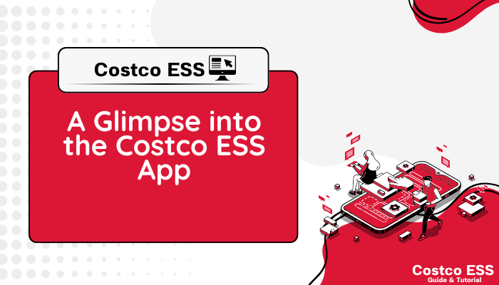 A Glimpse into the Costco ESS App